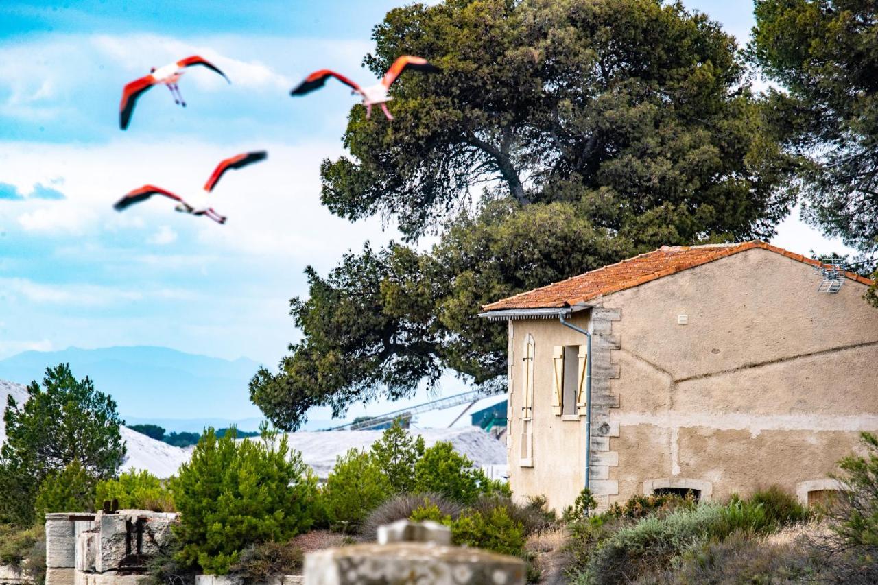 Villa Mas De Colomina Aigues-Mortes Extérieur photo