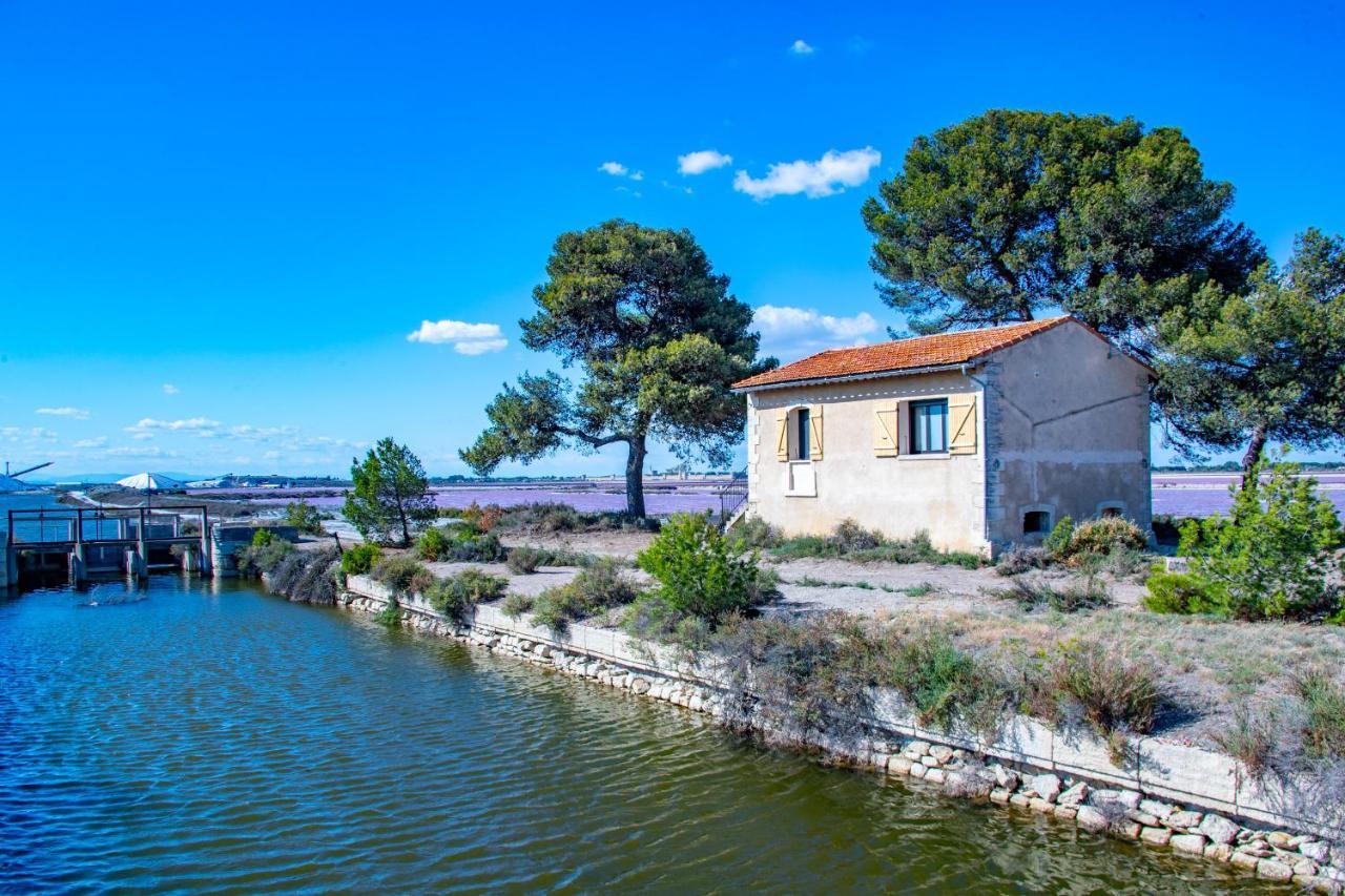 Villa Mas De Colomina Aigues-Mortes Extérieur photo